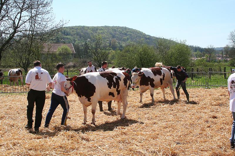 comice-agricole (23).JPG